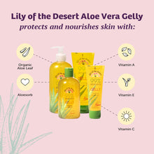 Load image into Gallery viewer, Lily Of The Desert Gelly Moisturizer - 99% Organic Aloe Vera Gel for Skin, After Sun Care with Aloe, Vitamin E Oil, and Vitamin C for Sunburn Relief, 8 Fl Oz
