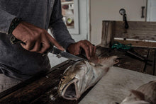 Load image into Gallery viewer, Gerber Controller 6 in. Freshwater Fish Fillet Knife