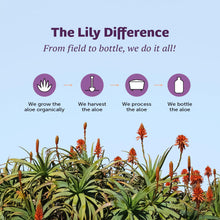 Load image into Gallery viewer, Lily Of The Desert Gelly Moisturizer - 99% Organic Aloe Vera Gel for Skin, After Sun Care with Aloe, Vitamin E Oil, and Vitamin C for Sunburn Relief, 8 Fl Oz