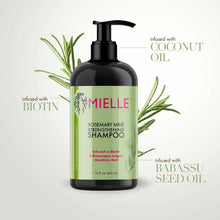 Load image into Gallery viewer, Mielle Rosemary Mint Strengthening Shampoo 12 fl. oz.