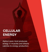 Load image into Gallery viewer, Protocol Alpha Lipoic Acid 600mg - Grape Seed Extract and Bioperine - 60 Veg Caps