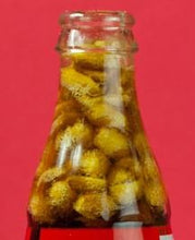 Load image into Gallery viewer, Muncheros Chili Lemon Peanuts 4.25 Ounce 4pack