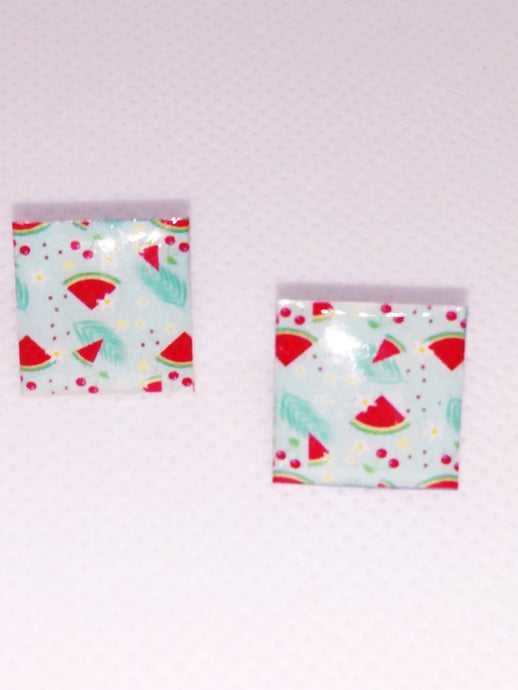 Earrings  watermelons